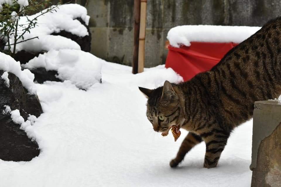 アトリエの日常