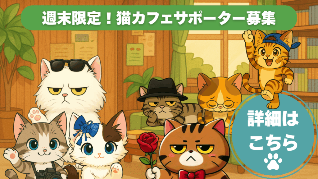 週末限定！猫カフェサポーター募集中