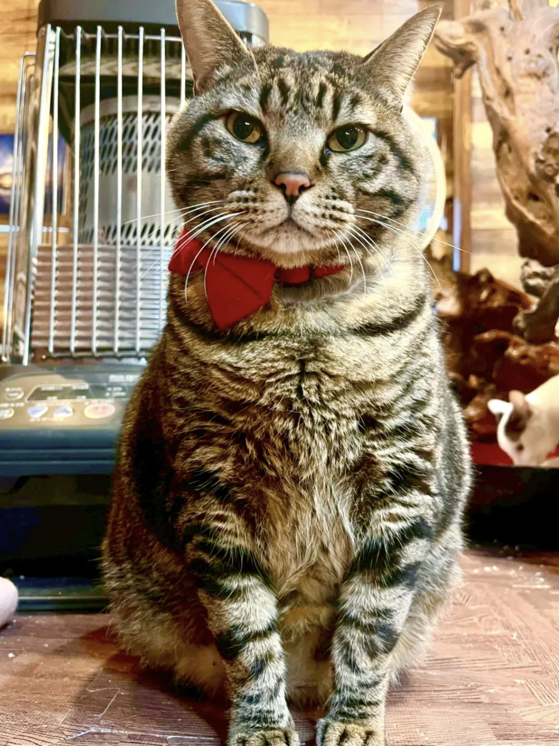 アトリエでの日常